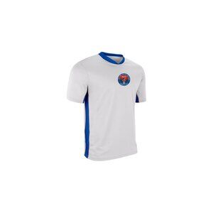 Haiti World Cup Jerseys